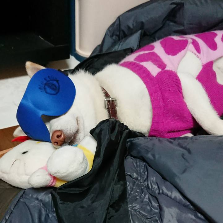 E3c4f80e 8d66 41d3 9c3a d7b8c644fc6a 1511869103058