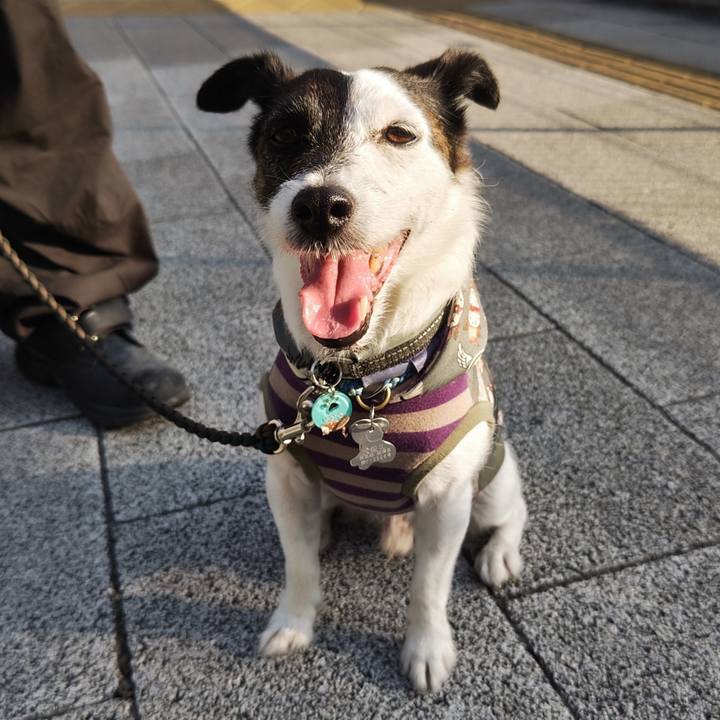 E3c4fd06 f1ac 4fea 937a fc0c080a02ac 1753307620213