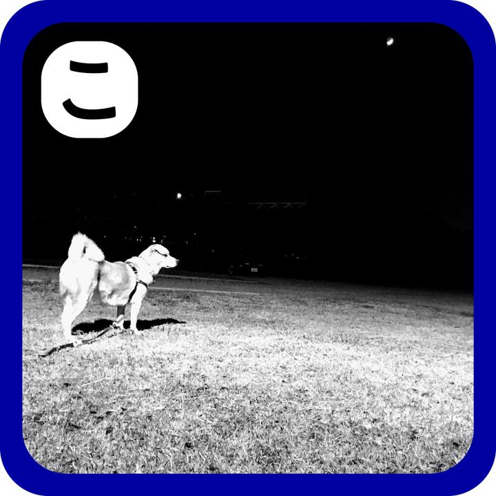 E3c50717 42c3 4036 a75d d0740e67a89f 1514853221271