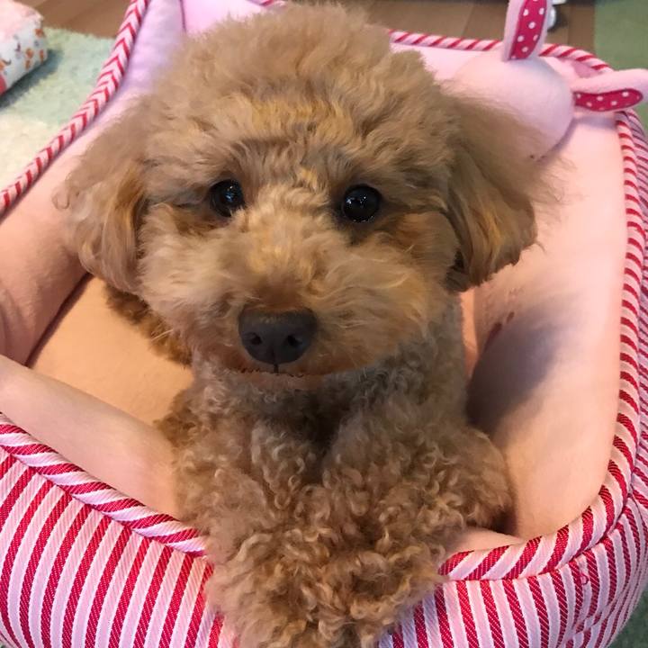 E3c53b01 9e99 46a3 8209 1813a12ecaed 1521628894304