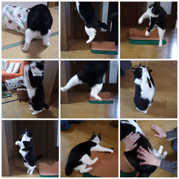 E3c54782 7c72 4cca 91af 97b16257b74b 1582961346228