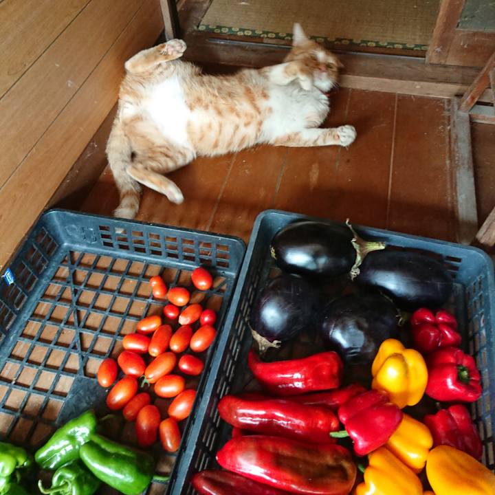 E3c5754b 4d12 4000 8e4c 8eaf5b9e49a2 1570239769561