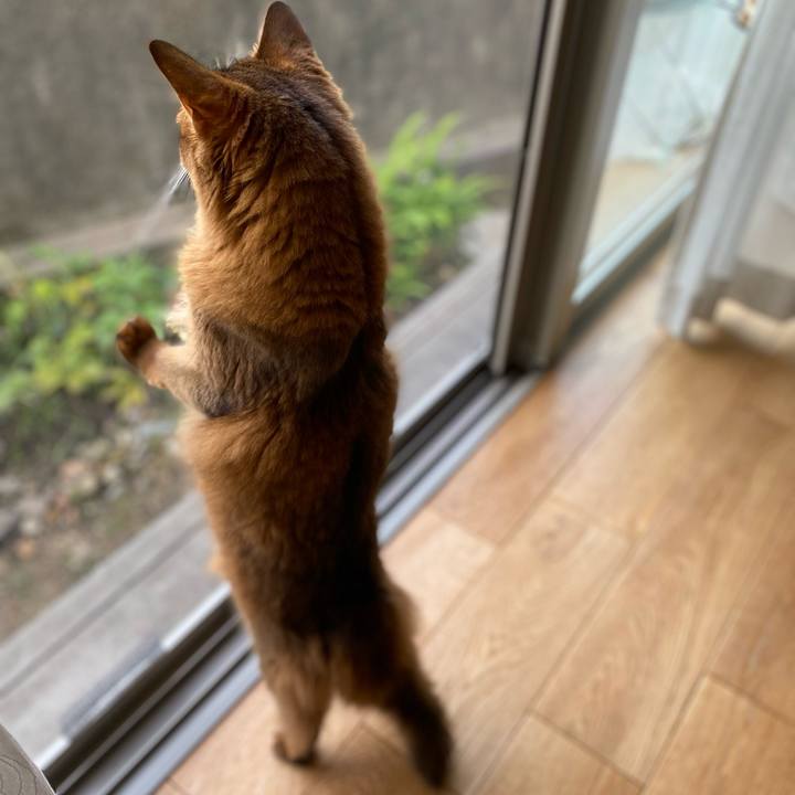 E3c57eef ef10 4dea 9666 c41863795b16 1687905265978