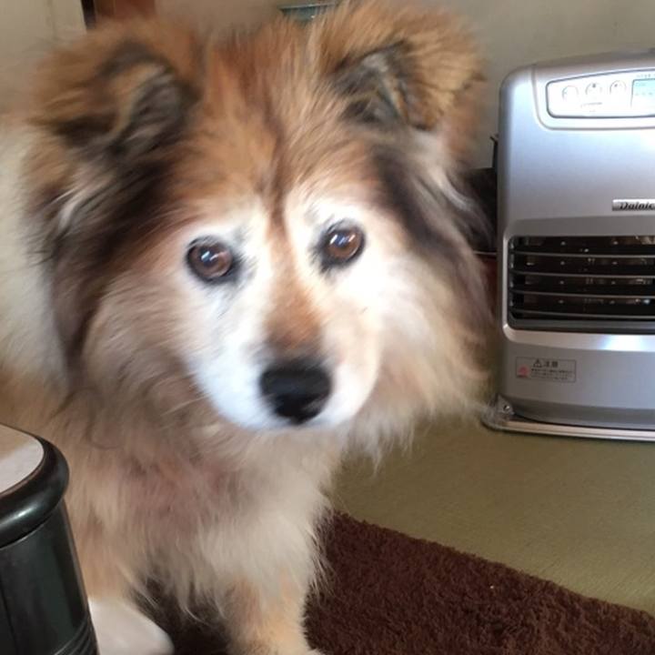 E3c59103 d581 4095 8387 98446cc6b957 1556336917554