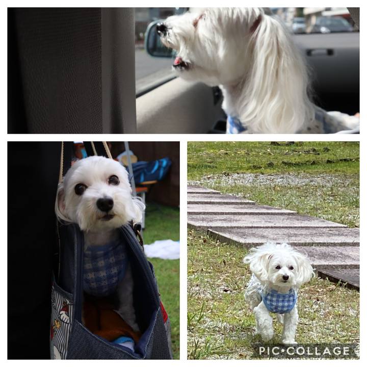 E3c5c222 4cfd 41a6 8e4d 5040f28431f5 1600688709281