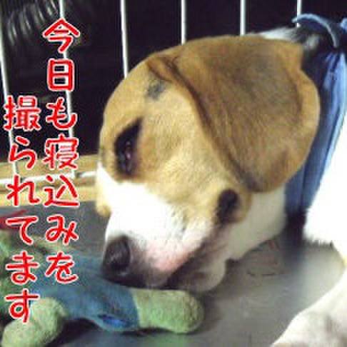 E3c60d61 2dca 49fe 9bb8 83212ed3e532 1692230657472