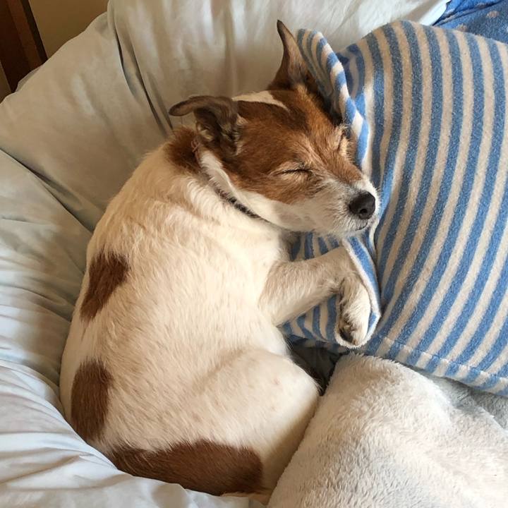 E3c616cb 2268 4b5b 8cb8 608f8fd154f7 1549073834955