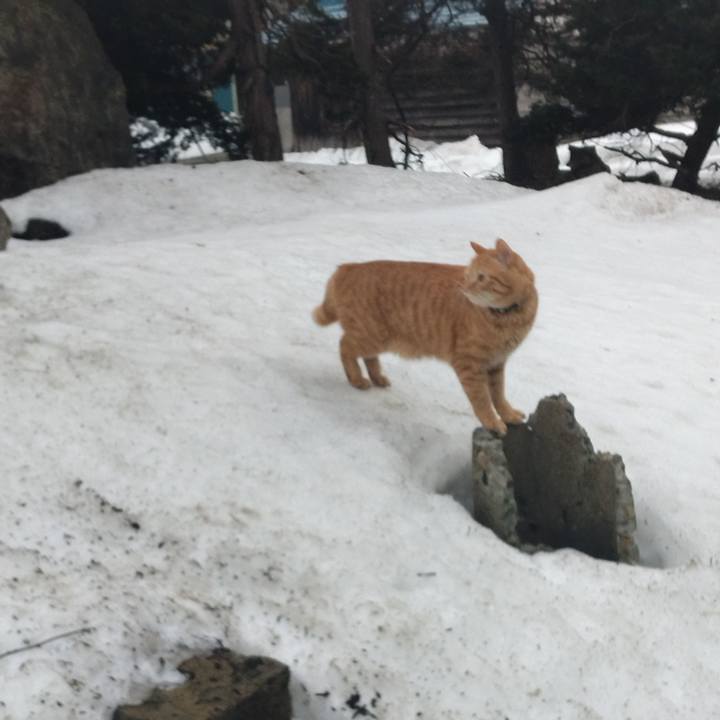 E3c628a2 a1ed 41ac a710 74af0c62ef4b 1677711592714