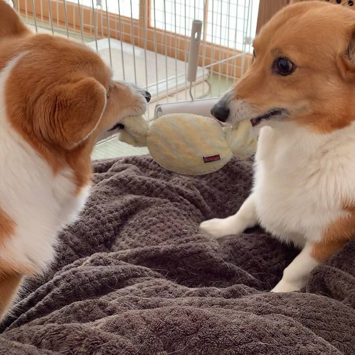 E3c6371c 729e 4011 b83f 83e97cb52e09 1671079563583