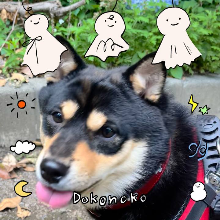 E3c64584 327c 4872 bb5d f25d5bd9472d 1749549194047