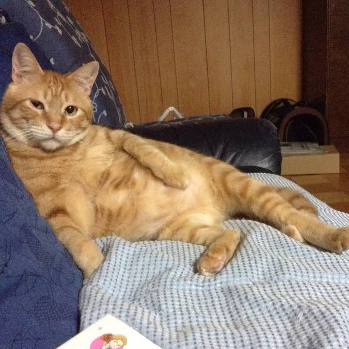 E3c668dc 19d9 4390 bfcc c4a3cba104e7 1565771711393