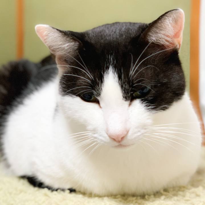 E3c6822a acc8 4a29 92a8 969dc928b19f 1573868998651