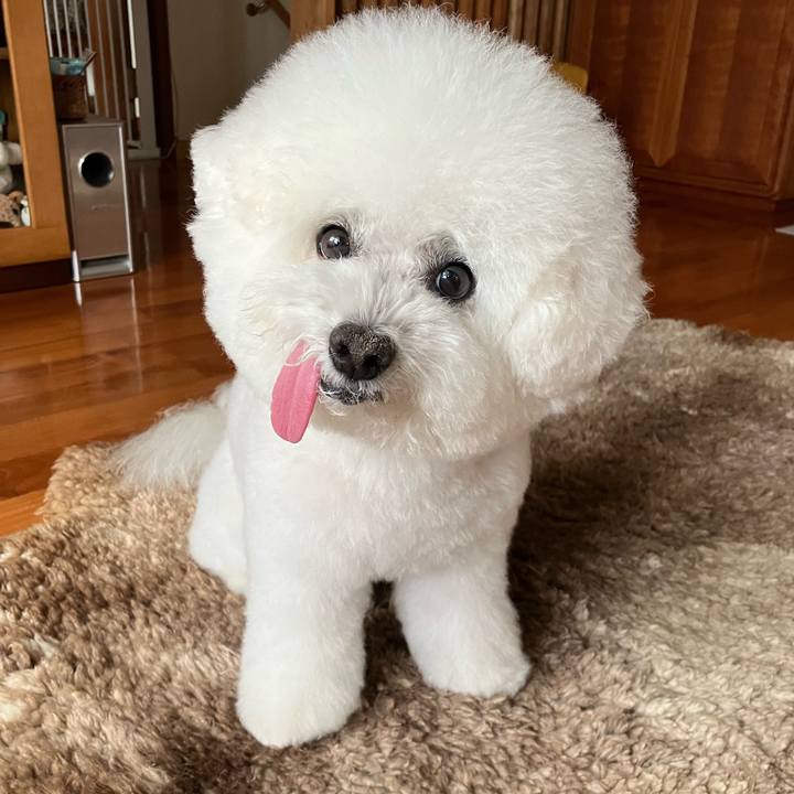 E3c6de54 092b 4c1f a975 31175c8fe948 1759234824723