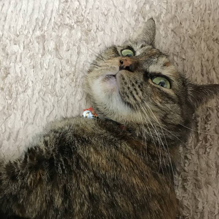 E3c6e1af c1fb 4099 8237 9e29f9e7f8dd 1518783213877