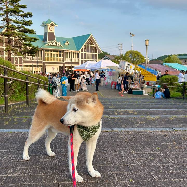 E3c6ecd3 07c9 43a8 83f0 c8ba9ef3a358 1755169140770