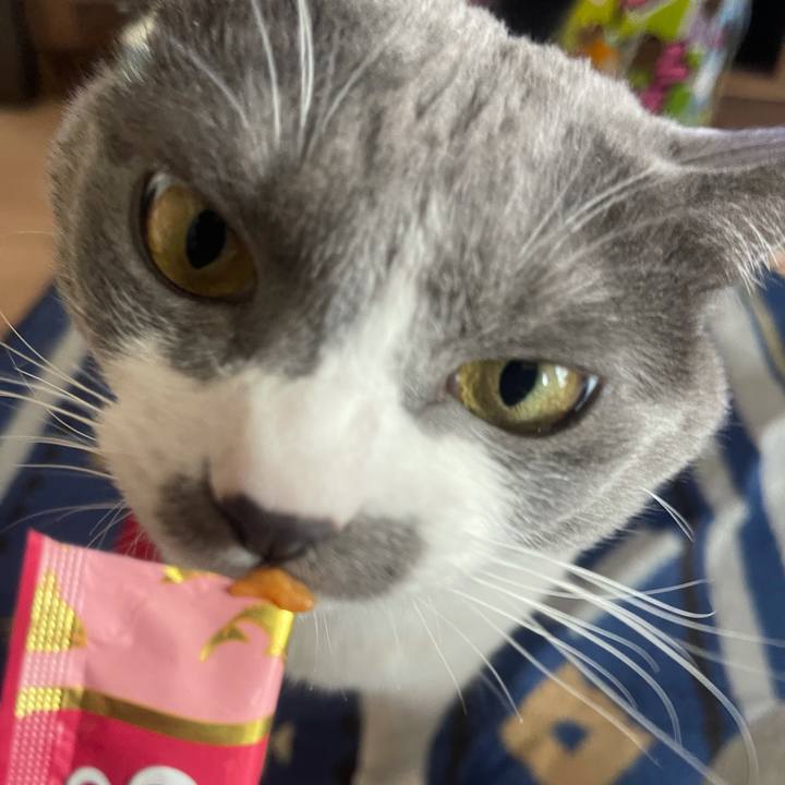 E3c6ee71 f0f4 485a 8f15 07bb0d8ed59d 1646808848506