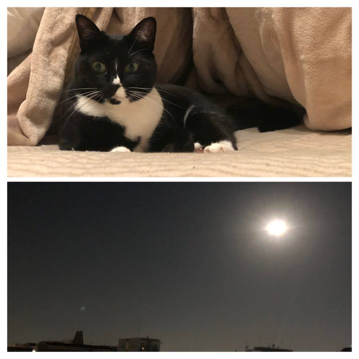 E3c6f74b dc1d 4c11 83e0 6e985f28dccb 1573601035482