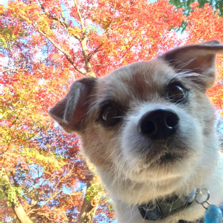 E3c7121a 0ab8 473f 82fb 6cfdf0af05e8 1637829316636