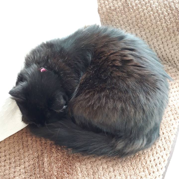 E3c7432a 093c 4028 ba5b 0020a089984f 1518920779780