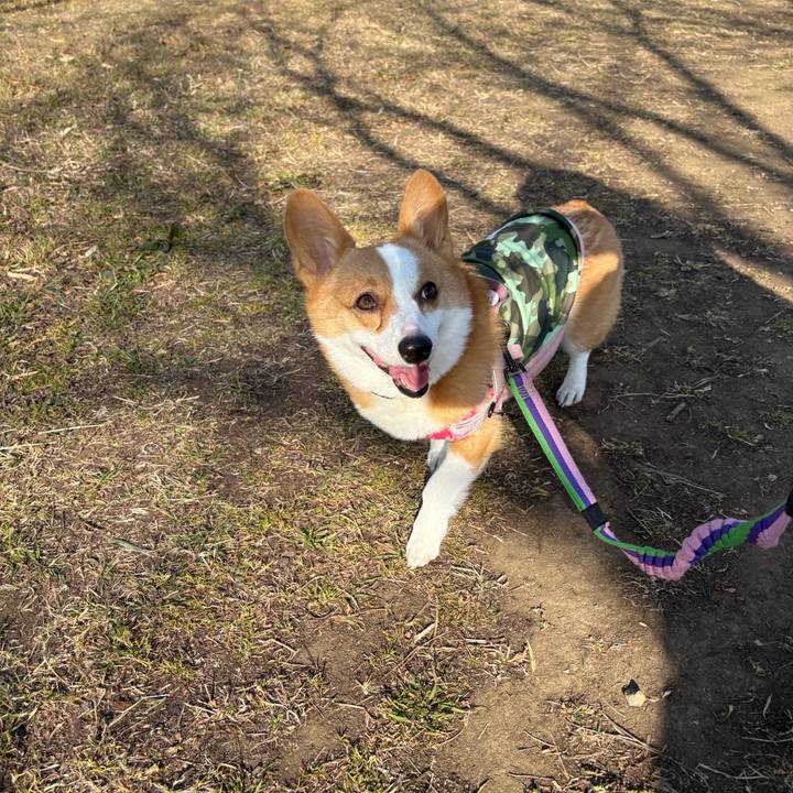 E3c74c23 de22 4e52 959c 3ecea946528d 1771797518312