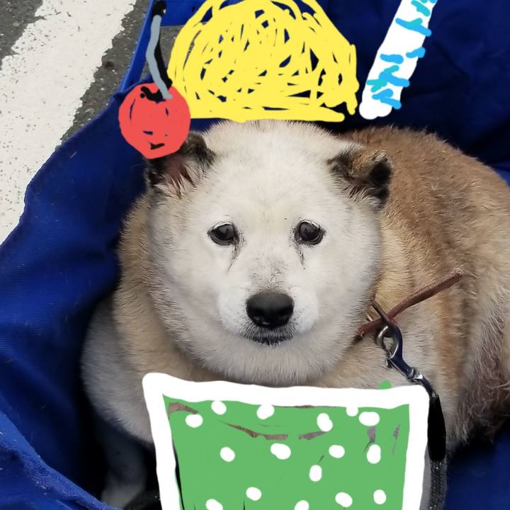 E3c763ad c1a2 4f32 936f 215f3167280a 1755238416940