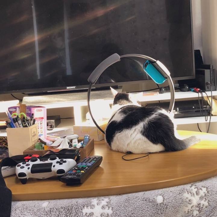 E3c77704 fece 4703 8500 8ba9be722772 1578893810433