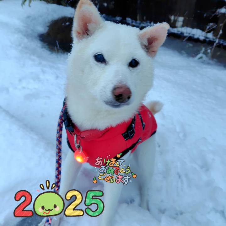 E3c79ede e01b 46b6 8f56 2828ff40e83f 1736323626889