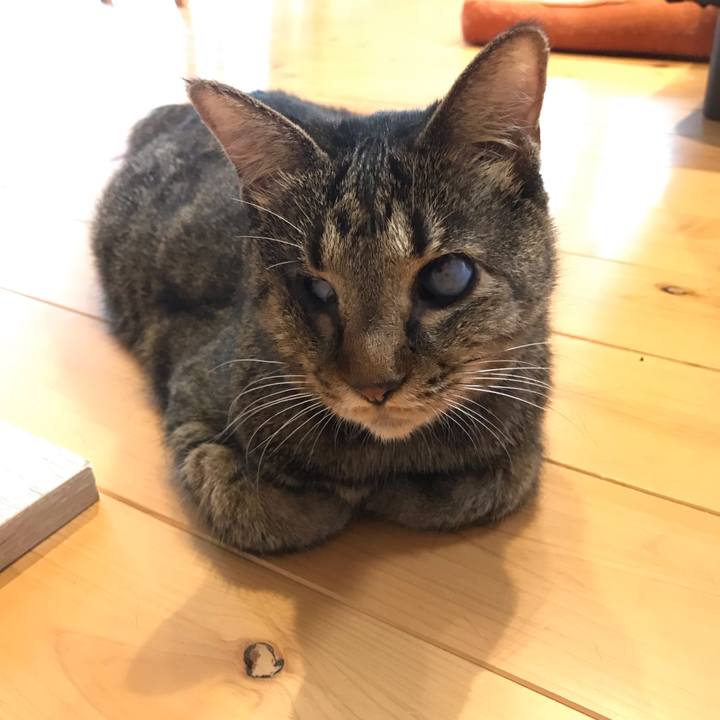 E3c7ada8 6033 441c 854f 581d48ea67f7 1568593276155