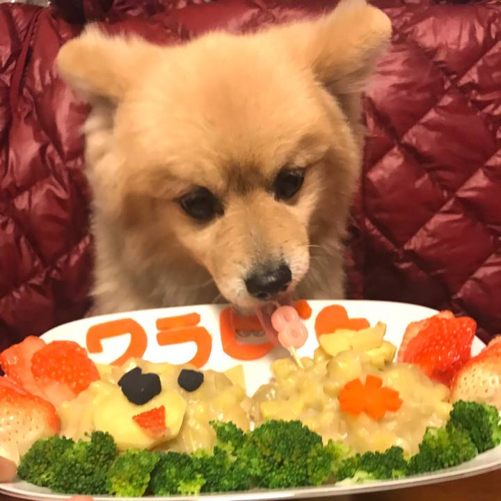 E3c7db48 68ac 4e37 afbb b4e4ae026729 1613014687609