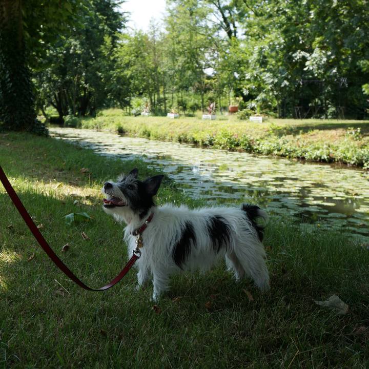 E3c7f54e 773e 4ca4 a56e eecc5000ef20 1614990968430