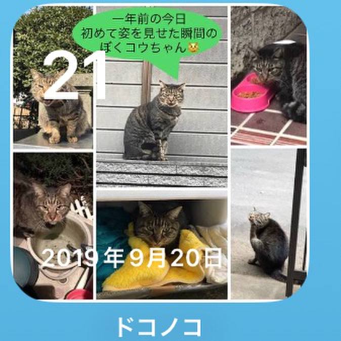 E3c8068f 4b0d 4cad be6e c760967ad61a 1758406085406