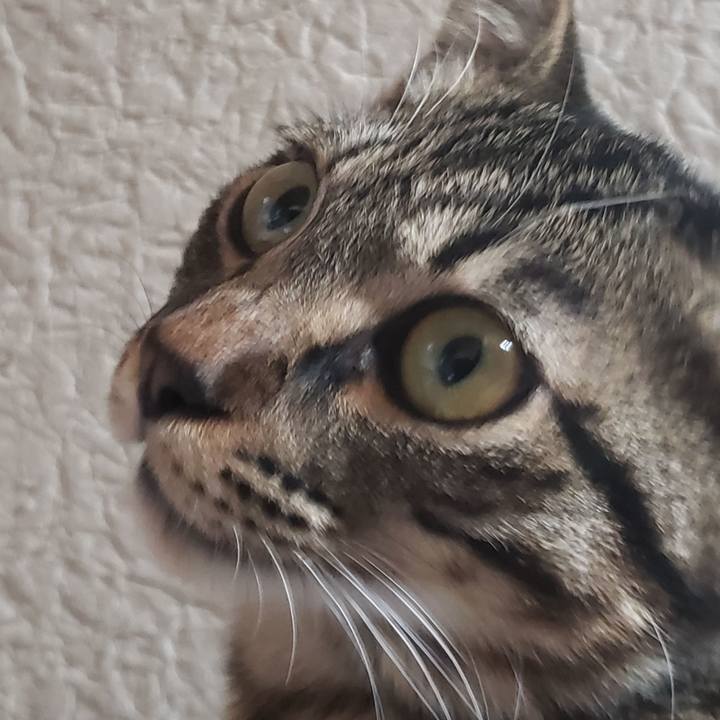 E3c848be 740c 4ddc badf 3742c8a1741d 1543456842036