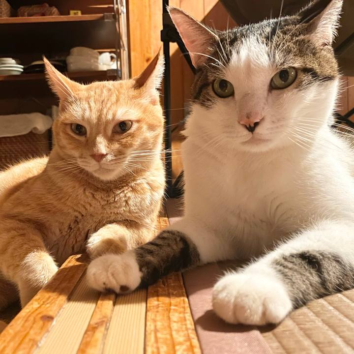 E3c84f0d 21b5 426f 969f 7294f032fc1a 1770203527650