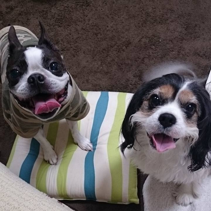 E3c85737 fa9c 40c9 a5da 367f20af50c8 1604156421263