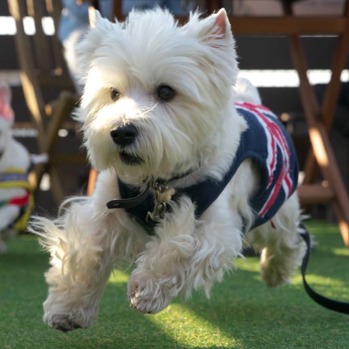 E3c85d56 01f4 4a50 b20e d494c368ea13 1518909361941