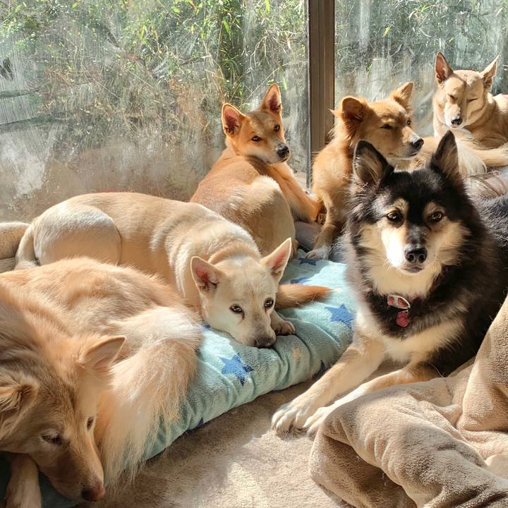 E3c85f4c 981a 47d0 8df7 5a67a69f775f 1580613379750