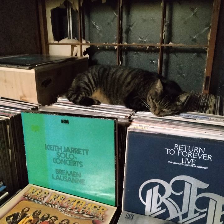 E3c863d3 a795 487d b532 71cedc325fd3 1663421246802