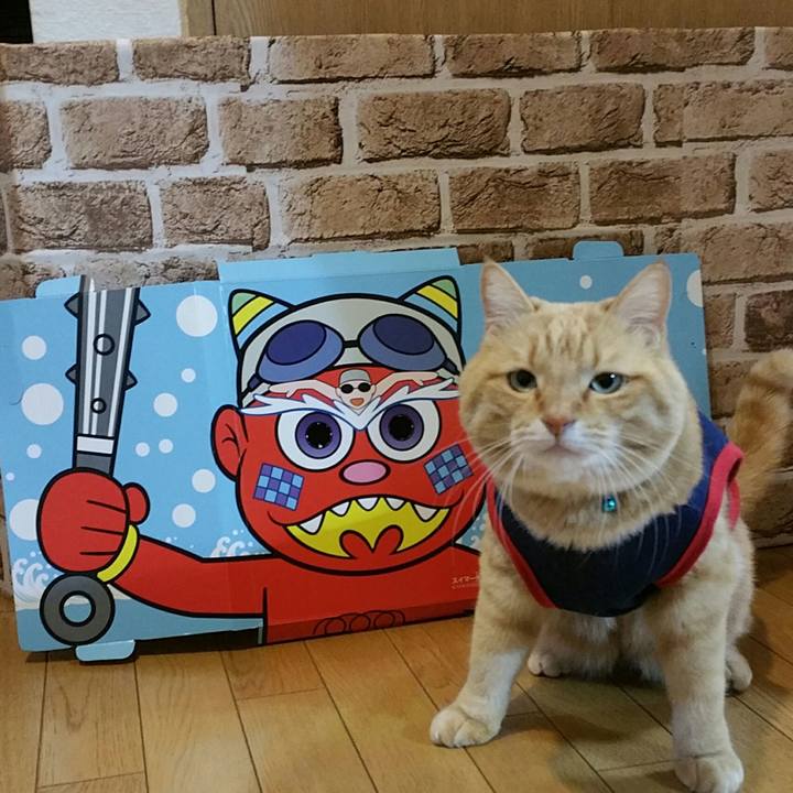 E3c8640c 3303 4bb6 9198 8467c9f03bad 1580724082283