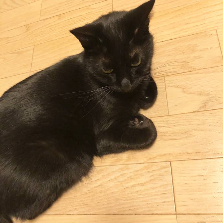 E3c86687 40a8 407d 9090 3898df0c8cc2 1576759908947