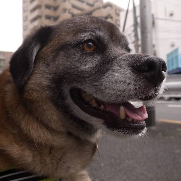 E3c8735a d7db 4511 9e38 f3b84a5d1348 1587198873462