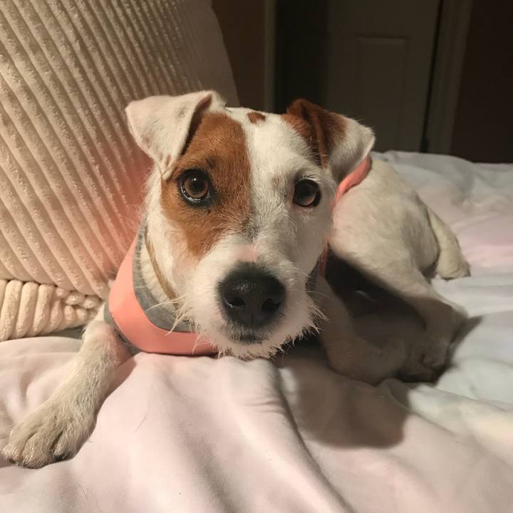 E3c8c425 be5f 473f a36f 4cf3be470965 1507723565928