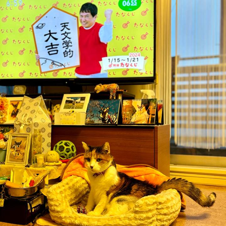 E3c8c548 28f6 446b b99f a1889187d96a 1705270943700