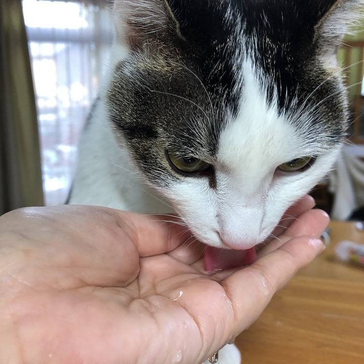 E3c8d130 83b6 4991 9ee1 f199e1ab5904 1636846399902