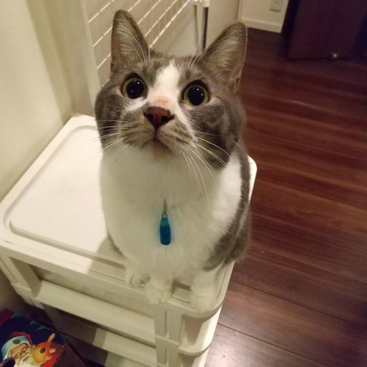 E3c8e97a e099 4024 8d1e 86a705156026 1612005361417