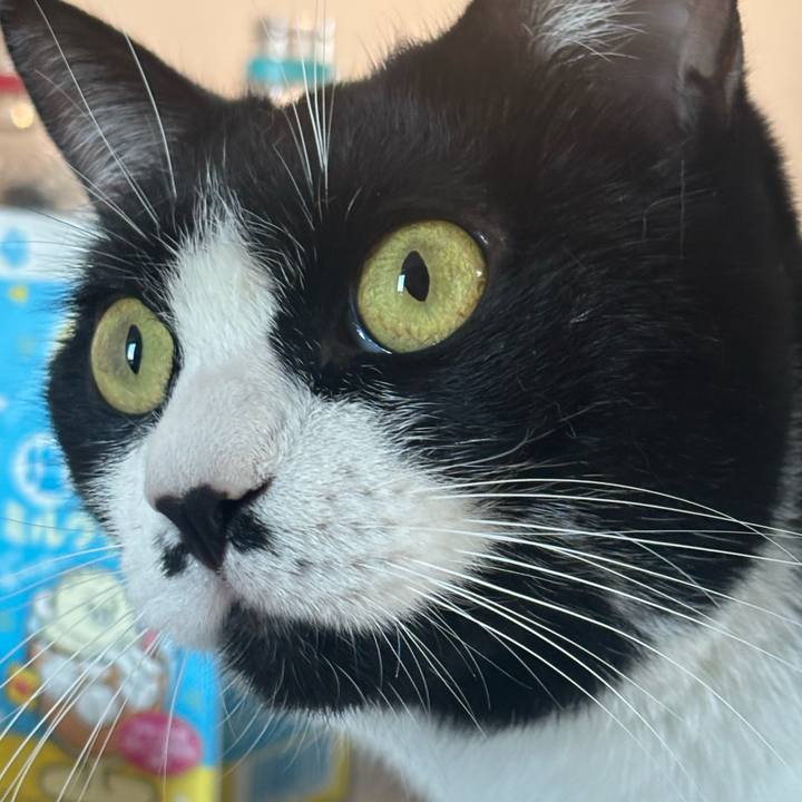 E3c8eace 5883 4ea5 af67 40e2de5a2b09 1756518970286