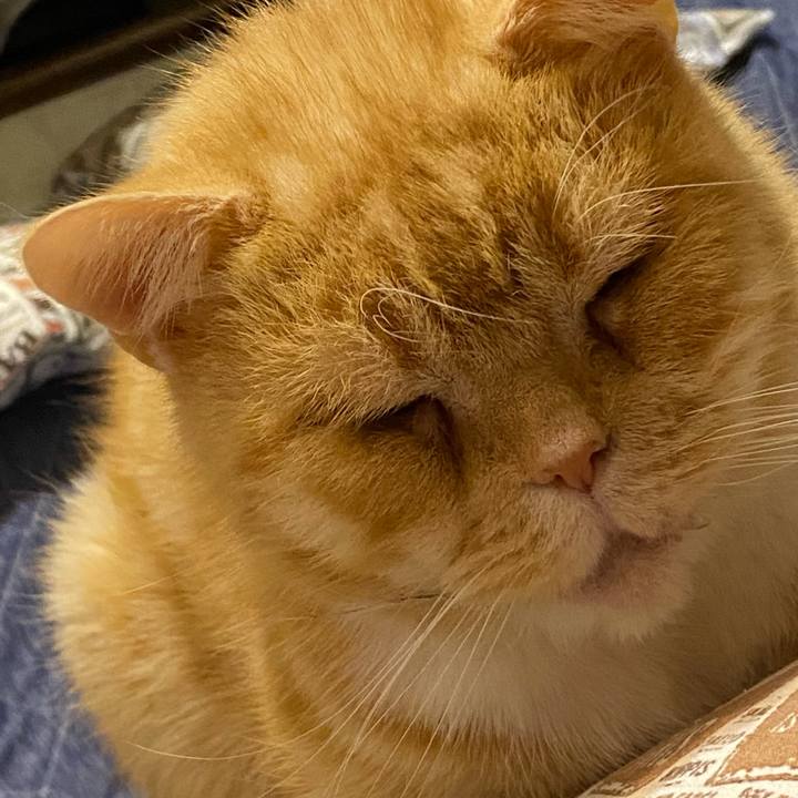 E3c8fa37 1b6c 4eb9 8319 7a7992c5fa0e 1642653738671