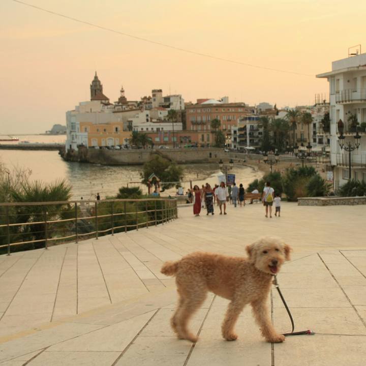 E3c8fe02 793f 44de a229 5a469d429641 1534916799068