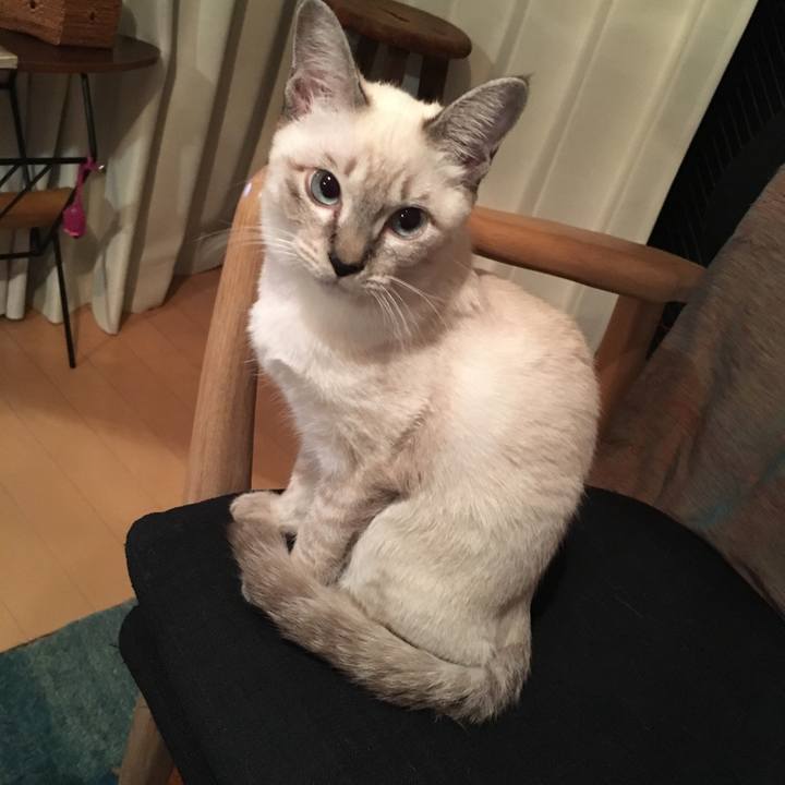 E3c937b1 6090 475e bfe7 533013398c4c 1539603906720