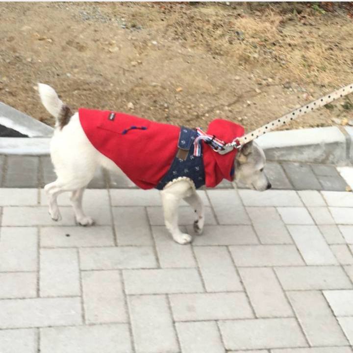 E3c96001 de63 4a21 8c69 259e86c13ce3 1773269325980