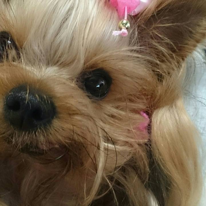 E3c96229 d8a7 47d6 9171 bc4a39bb79a9 1520662974894